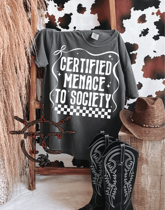 TRANSFER TUESDAY SHIPS FEB 25TH Certified menace to society SINGLE COLOR WHITE Screen Print transfers size ADULT 10X12 - Do it yourself Transfers